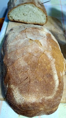 Pane biga e poolish sullo sfondo.jpg